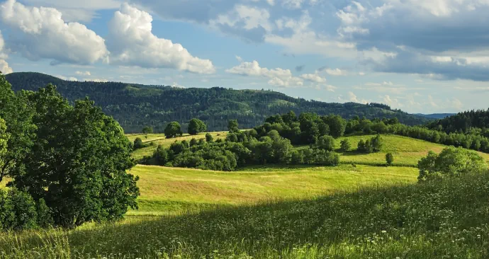 Szczawno-Zdrój,Góry Wałbrzyskie